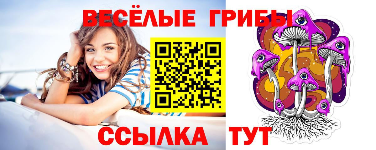 Галлюциногенные грибы прущие грибы Тверь