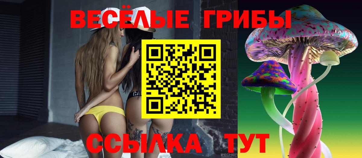 Тверь  Галлюциногенные грибы прущие грибы  продажа наркотиков  Вход с VPN 