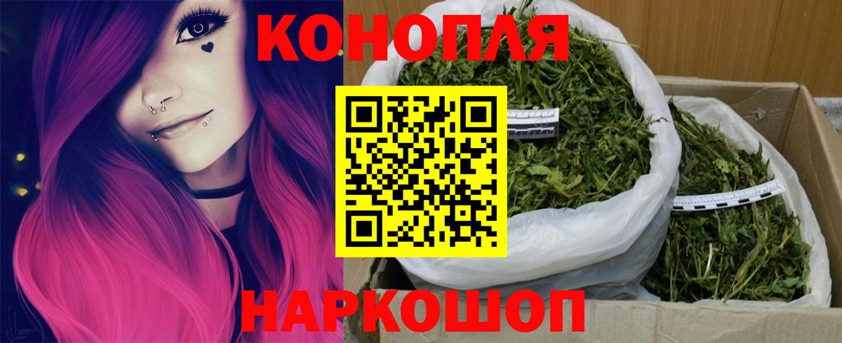 Бошки марихуана планчик  Шишки марихуана Ganja  Вход с VPN  Тверь  Канабис конопля 